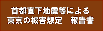 首都直下地震等による東京の被害想定 報告書